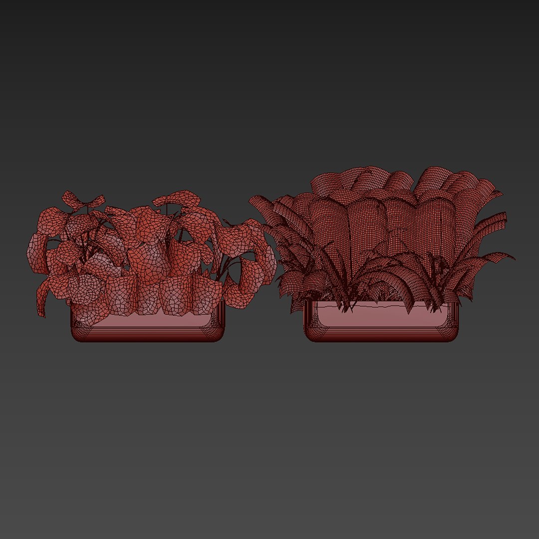 plant vol 978 - monstera - banana - box 3D model https://p.turbosquid.com/ts-thumb/wP/YWdAoV/JY/6/jpg/1786556308/1920x1080/fit_q87/22241a304cc9fed8f8054e4076e01aeda7b86268/6.jpg