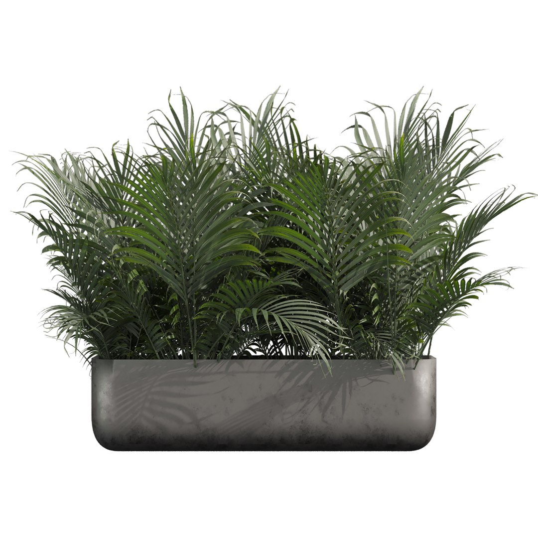 plant vol 978 - monstera - banana - box 3D model https://p.turbosquid.com/ts-thumb/wP/YWdAoV/o8/3/jpg/1786556306/1920x1080/fit_q87/a2e494efe0eb38a8be779e9c0b9d0c8eb3772f08/3.jpg