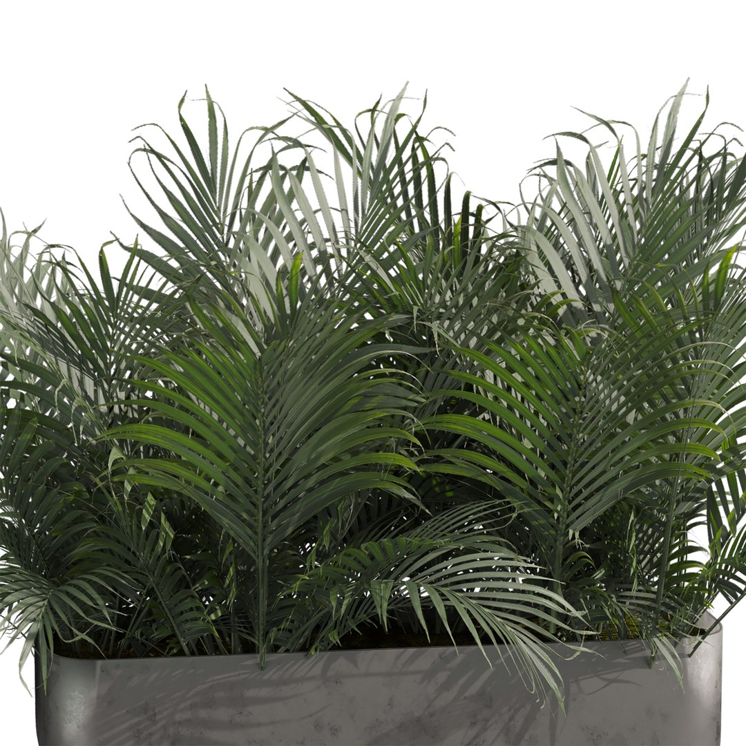 plant vol 978 - monstera - banana - box 3D model https://p.turbosquid.com/ts-thumb/wP/YWdAoV/qg/4/jpg/1786556307/1920x1080/fit_q87/191ab2d07ca9431faa91f458637f273179aacceb/4.jpg