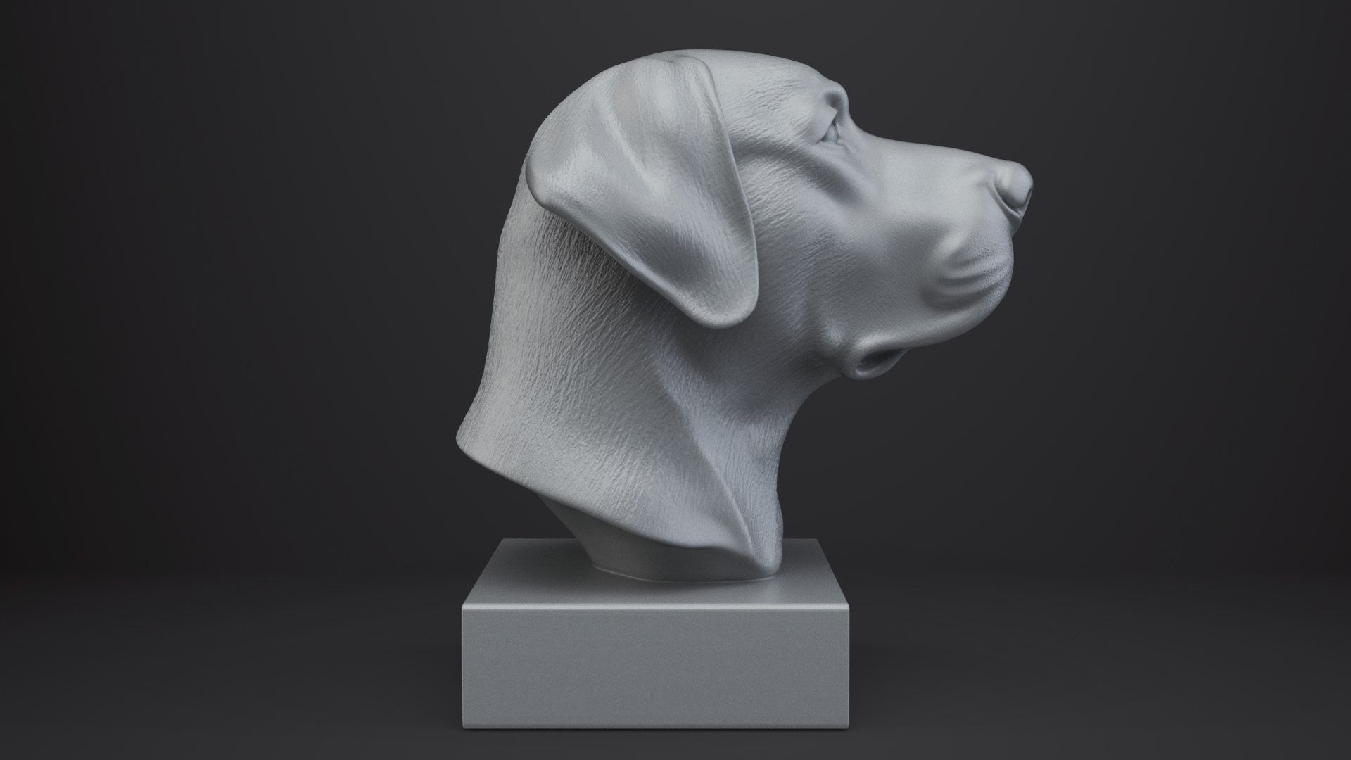 3D Labrador Retriever Dog Bust model https://p.turbosquid.com/ts-thumb/wP/a9eAlZ/4j/007/png/1767684143/1920x1080/fit_q87/b279e4f3b98e990ab644c7de39bf13d901506c99/007.jpg