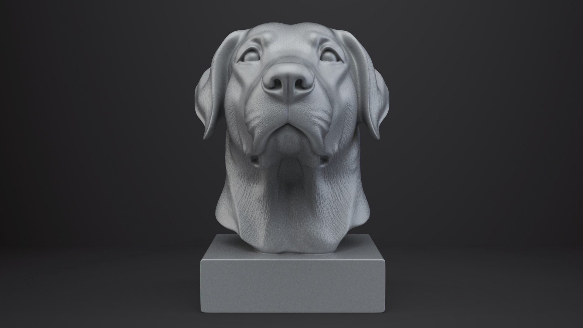 3D Labrador Retriever Dog Bust model https://p.turbosquid.com/ts-thumb/wP/a9eAlZ/Ht/009/png/1767684145/1920x1080/fit_q87/c1b354f9eb4e7d2008e13d0eb02a79b2384d5c98/009.jpg
