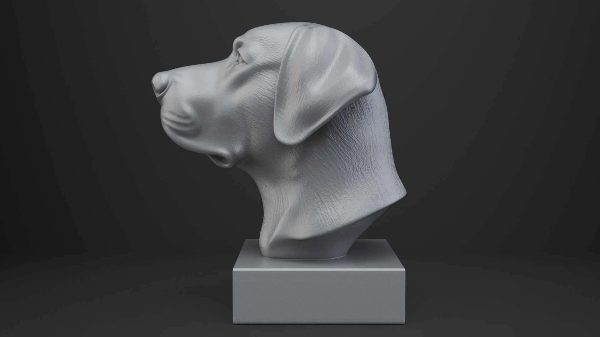 3D Labrador Retriever Dog Bust model https://p.turbosquid.com/ts-thumb/wP/a9eAlZ/yF/003/png/1767684140/1920x1080/fit_q87/98a3a7ab546eeada4289a5139e793b64cad428b4/003.jpg