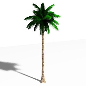 3D Palm Tree model