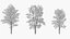 wind tree 03