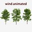 wind tree 03