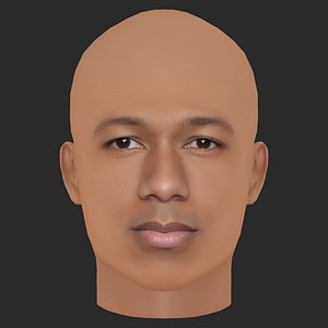 3D Low Poly Nick Cannon Head model