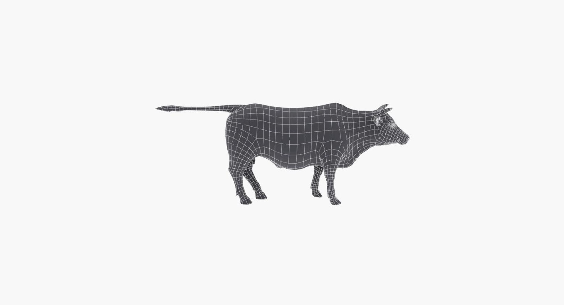 3d Cow