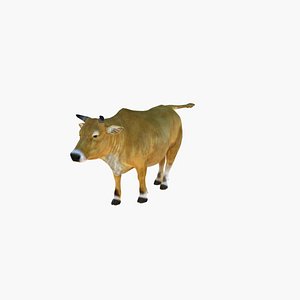 3d cow