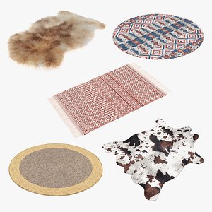 Rugs Collection 4