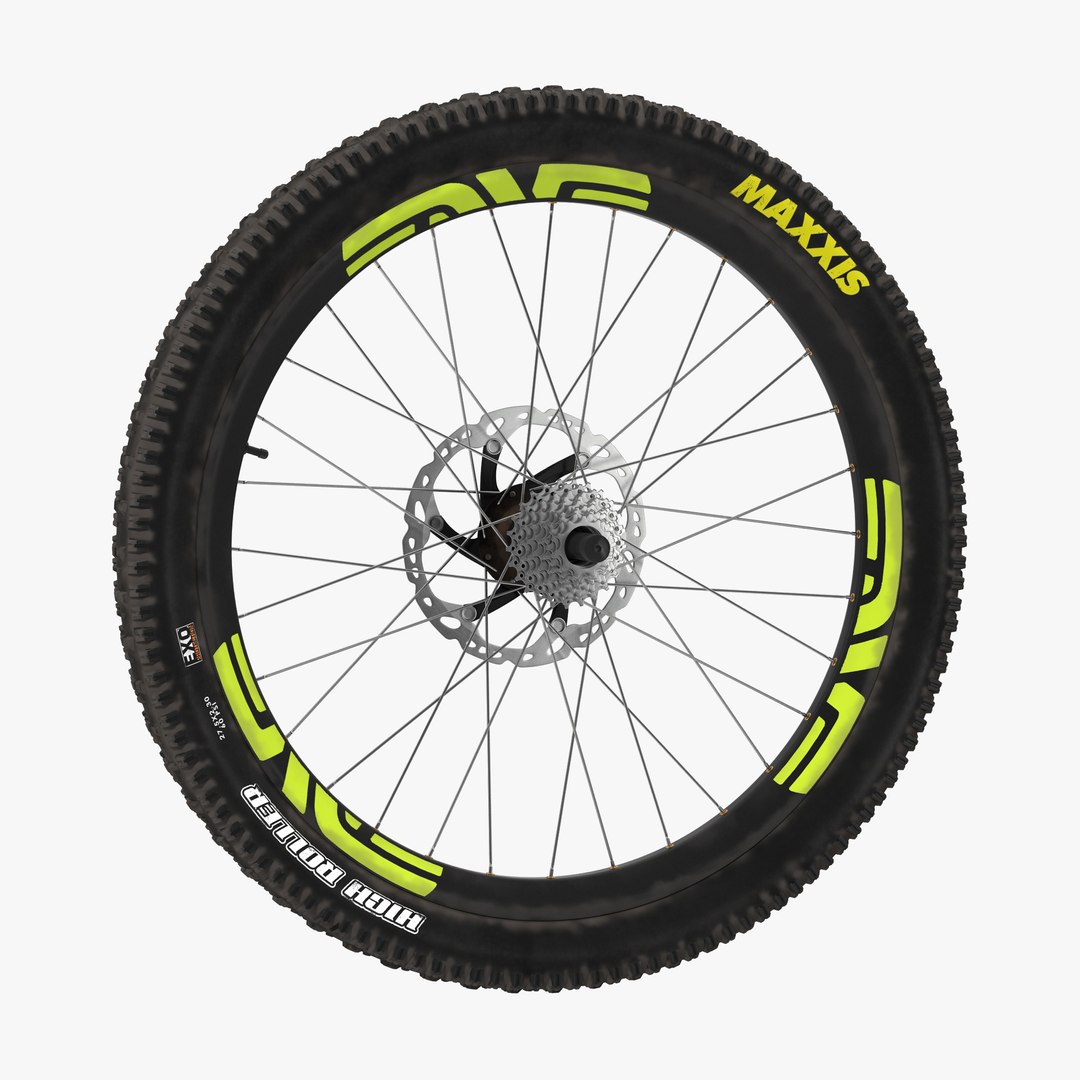 Bicycle Back Wheel 3D model preview