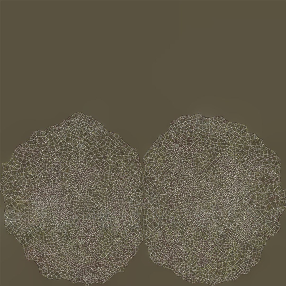 Boulder 3 3D model https://p.turbosquid.com/ts-thumb/wQ/RpVn9l/ge/uv_layout/png/1718188418/1920x1080/fit_q87/ea182fb85b0e65efea7b9d87ef9bd2a411eb019c/uv_layout.jpg
