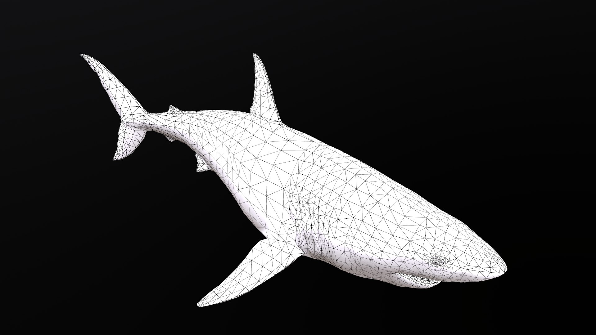 Low-poly animated great white shark 3D - TurboSquid 2033376