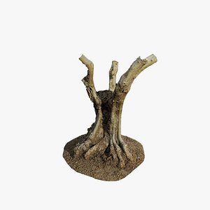 3D Anydrafts Olea europaea Trunk 01 model