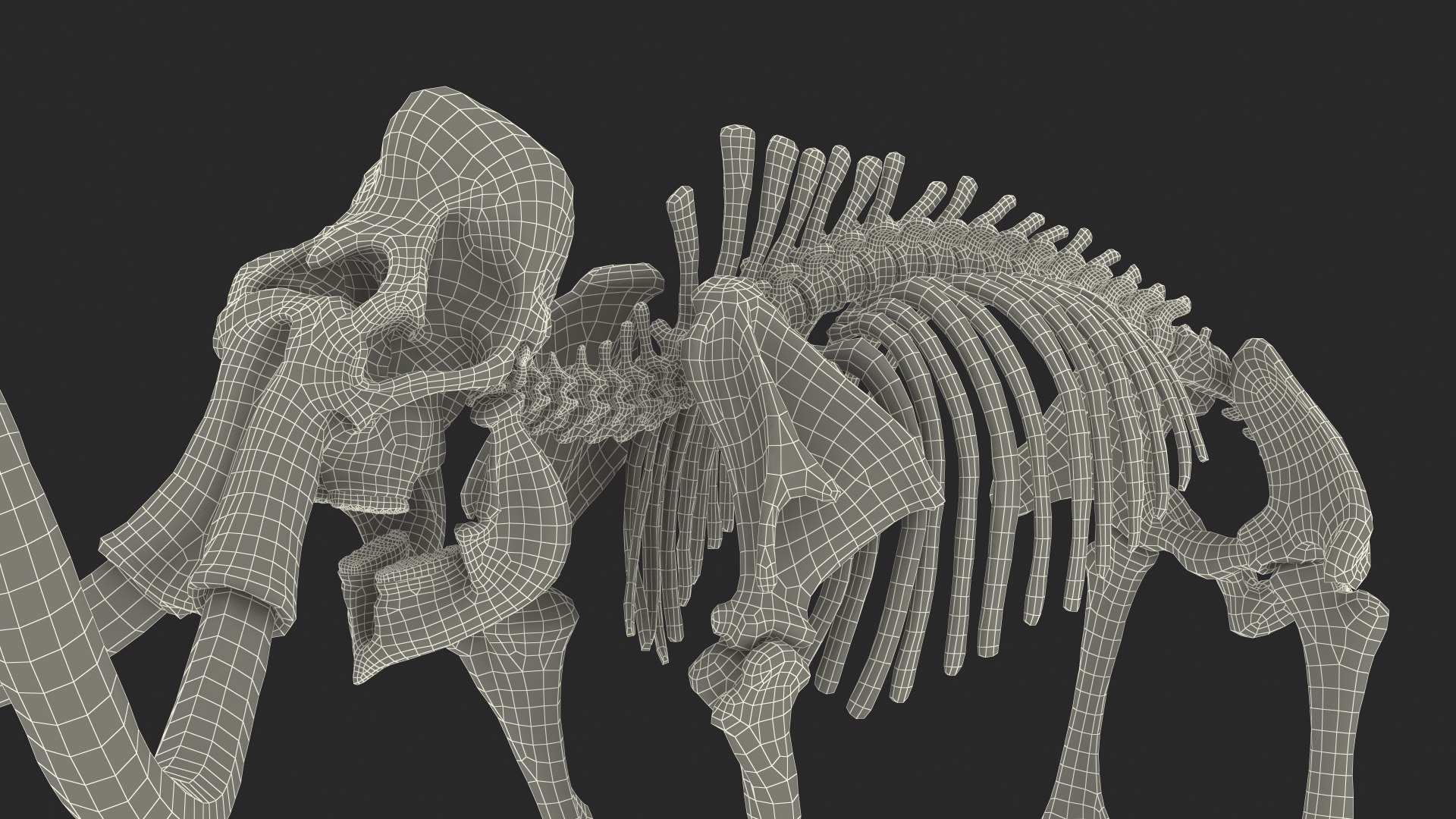 3D Mammoth Skeleton Old Bones Rigged for Maya - TurboSquid 1875442