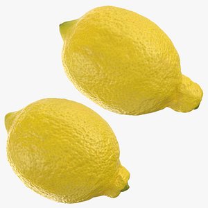 Whole Lemon Collection 3D model