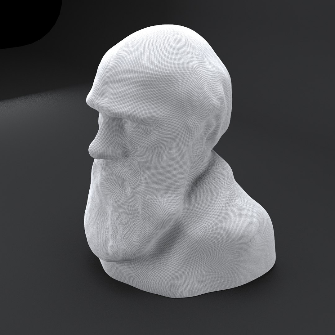 Bust Darwin 3D Model | 1142156 | TurboSquid