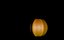 Zucca