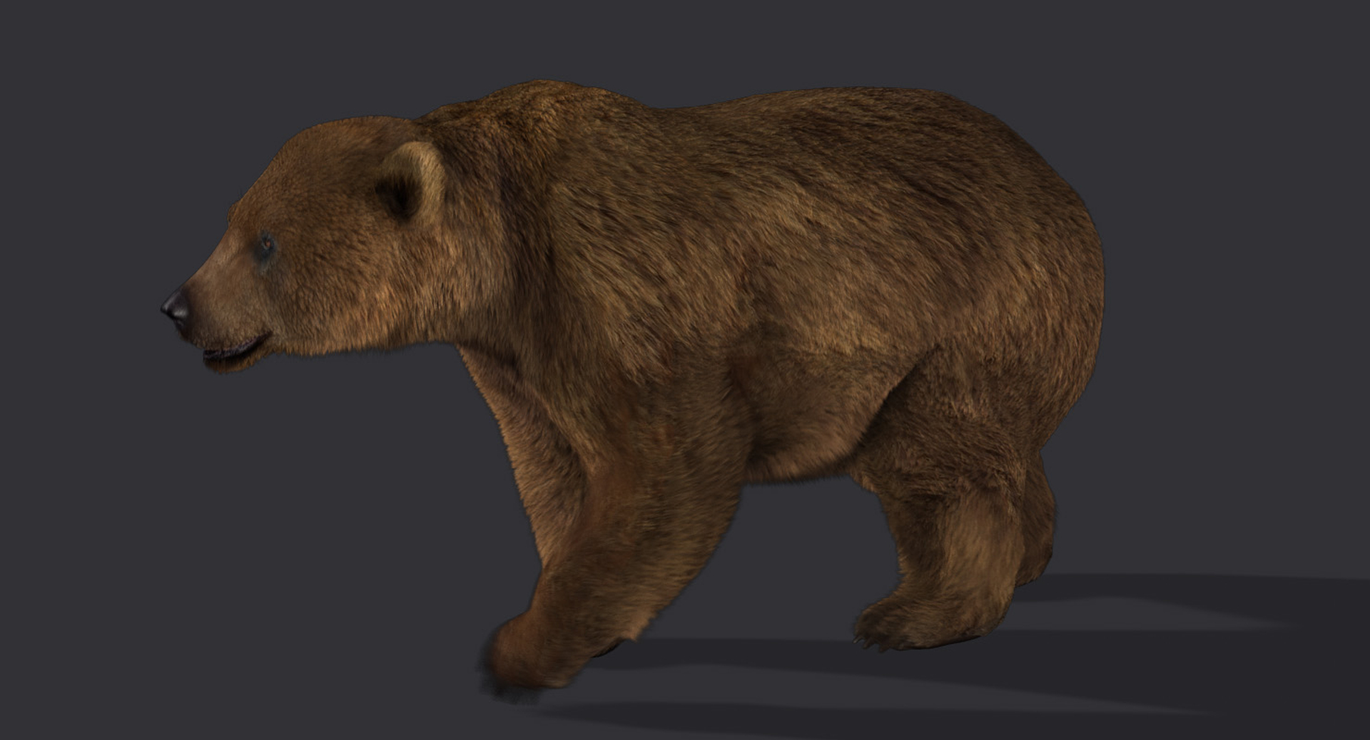 Ma Bear 2 Fur Animation