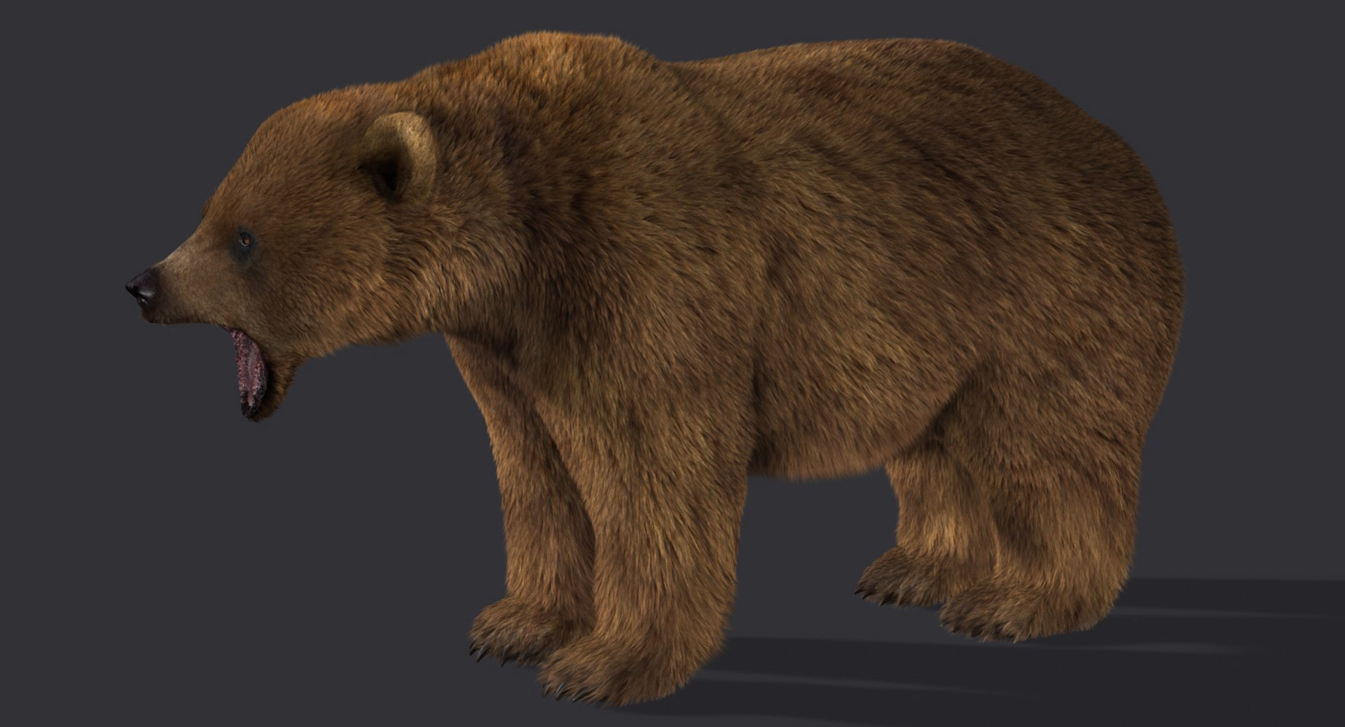 Ma Bear 2 Fur Animation