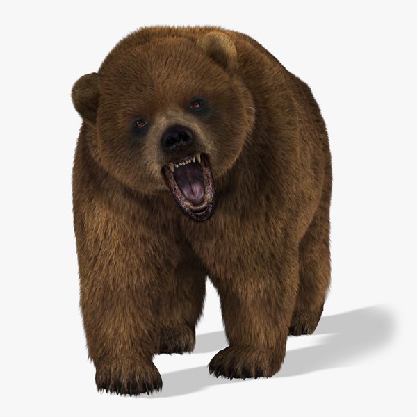 ma bear 2 fur animation