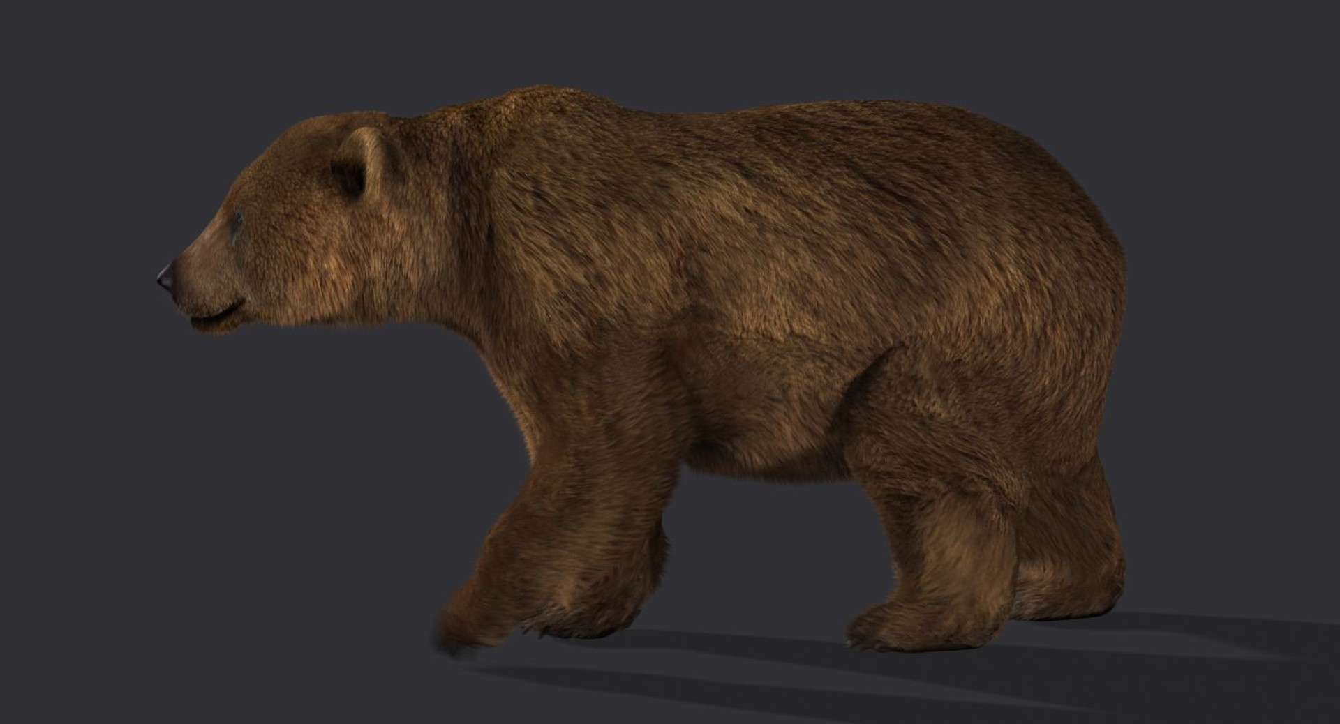 Ma Bear 2 Fur Animation