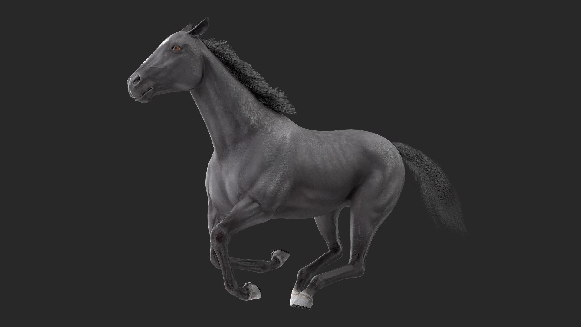 Gallop Pose Horse Fur 3D model preview