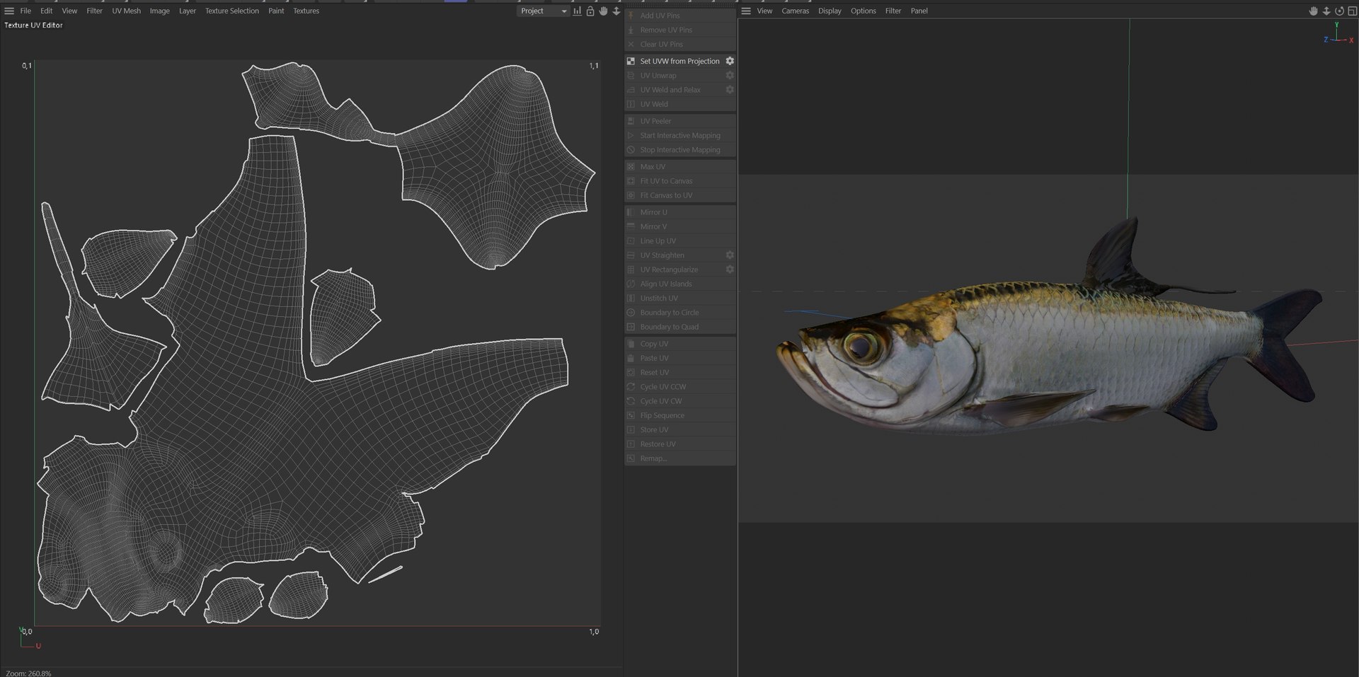 Tarpon fish model https://p.turbosquid.com/ts-thumb/wR/0Cy4eX/jW/uv/jpg/1768031235/1920x1080/fit_q87/4dd54924271dc5b40fae20b313699c806034e317/uv.jpg