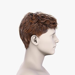 Real Time Hair Card Male Hairstyle