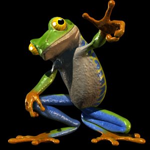 frog 3d model