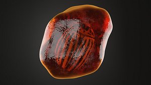 Fossilized Amber 3D model