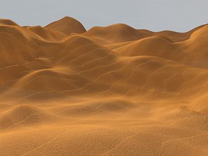 Sand Dunes