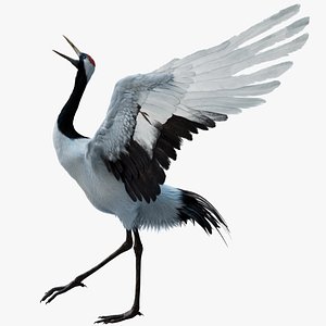 3D Red-crowned Crane Fur Animated Rigged 3D model