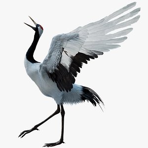 Red-crowned Crane Fur Animated Rigged 3D
