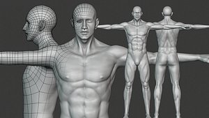 Free 3D Body Models | Turbosquid