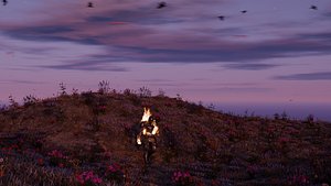 3D Field in fire model