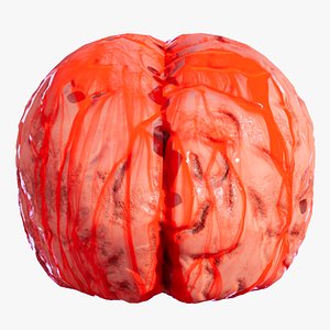 Bloody Brain 3D model