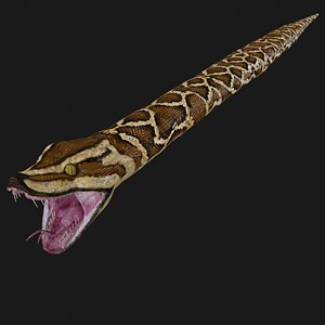 python rigged model