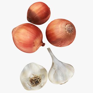 garlic onion 3D