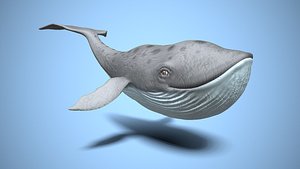 cartoon whale