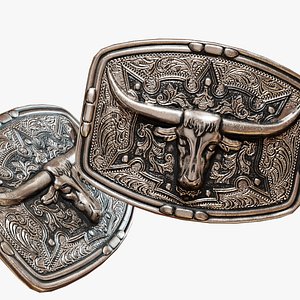 buckle model