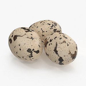 quail eggs max