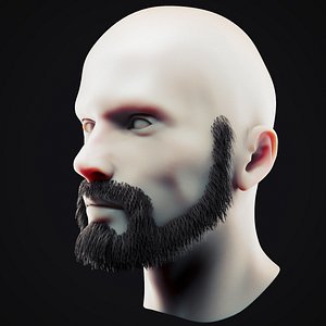 Beard Low Poly 18