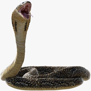 Serpente Víbora Adder Modelo 3D $149 - .obj .unknown .dae .fbx