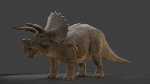 3D Triceratops model