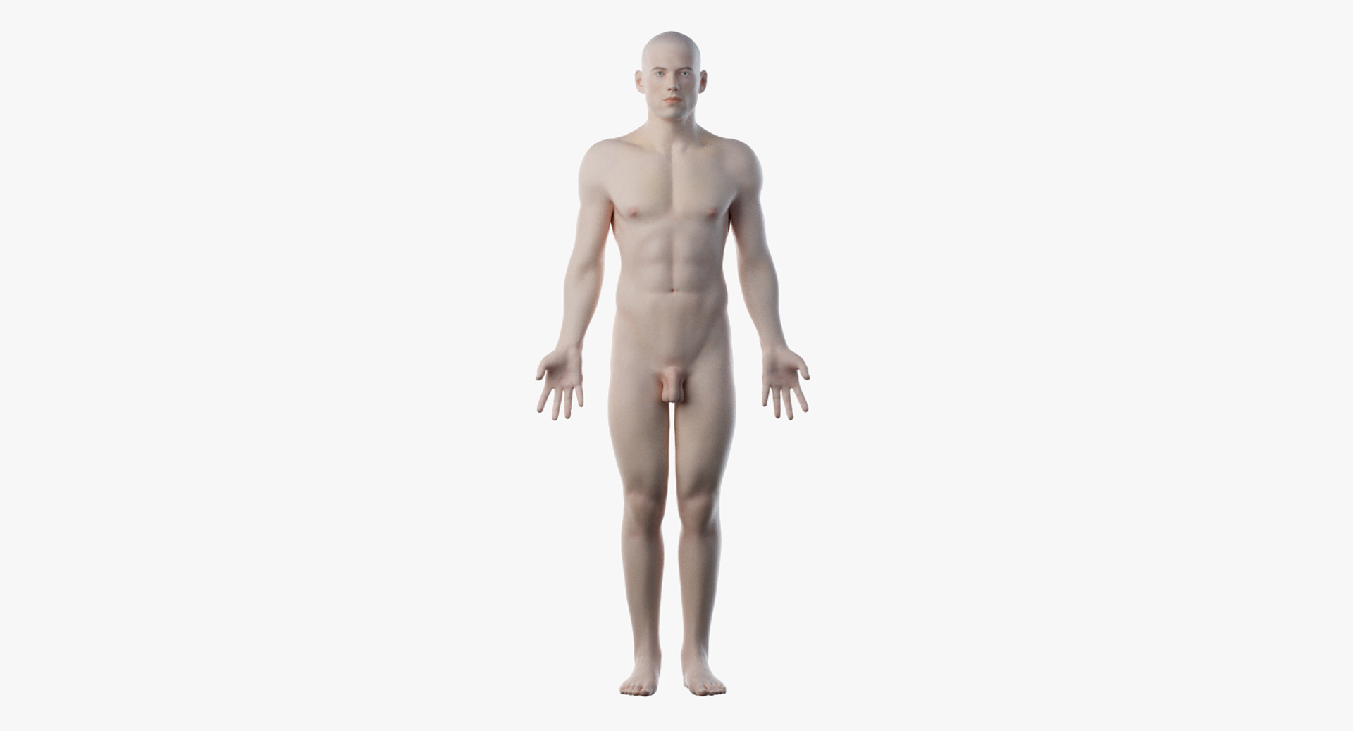 3D male anatomy rigged https://p.turbosquid.com/ts-thumb/wR/rOgvIa/01bwwibA/turntable_anatomy_skin/png/1560160412/1920x1080/turn_fit_q99/27cc603a53ac3e7226a81c5eb8b2a7dc834f84c7/turntable_anatomy_skin-1.jpg