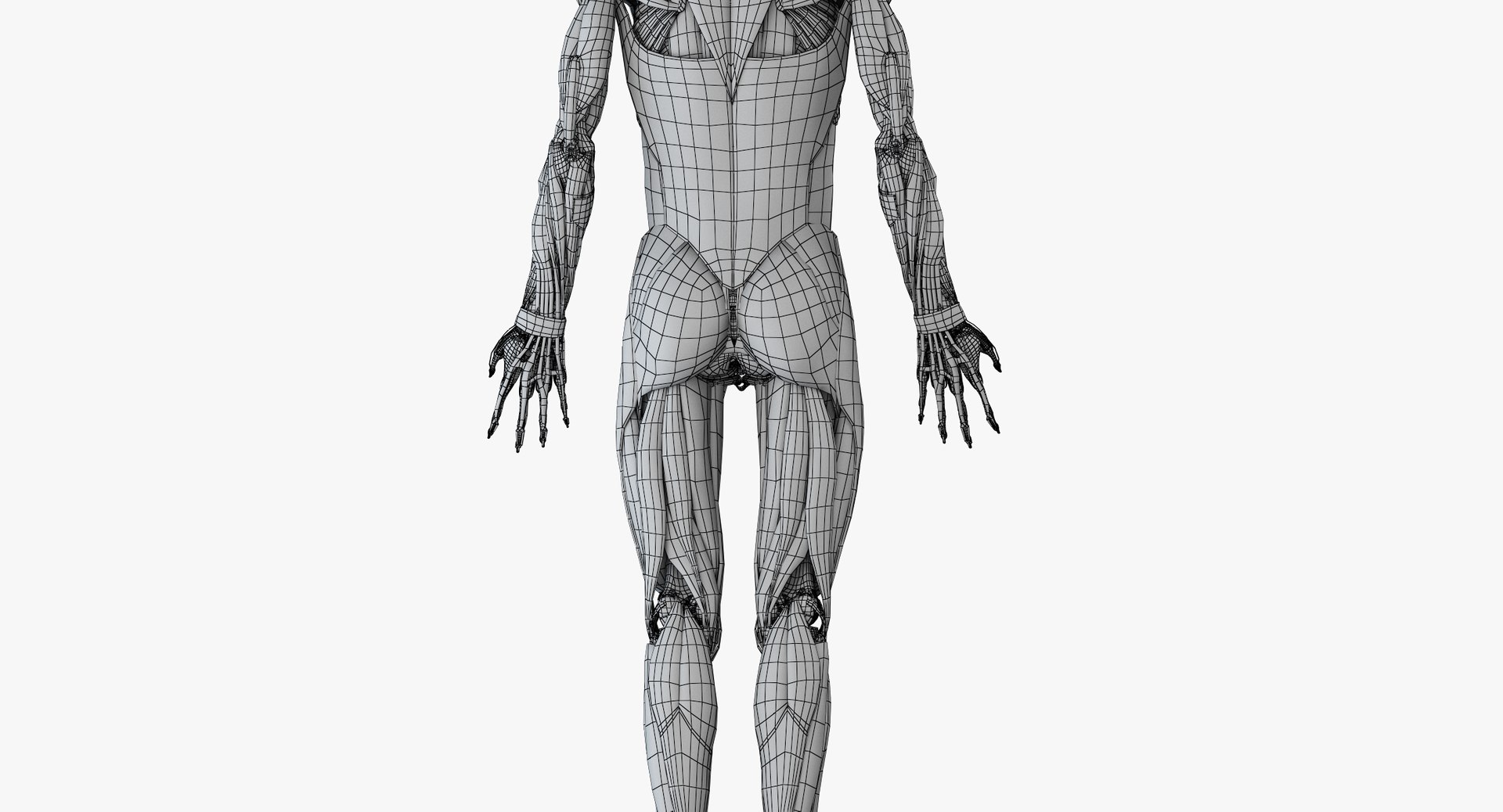 3D male anatomy rigged https://p.turbosquid.com/ts-thumb/wR/rOgvIa/V1tNheEL/wire_all_muscles0002/png/1560164889/1920x1080/fit_q87/4211a793e1ce1dc14c404e9496eb8a29c6d6d0f5/wire_all_muscles0002.jpg