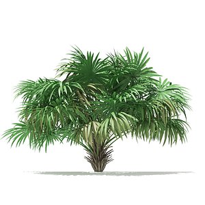 thatch palm tree model
