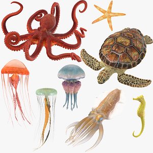 Sea Animals 01