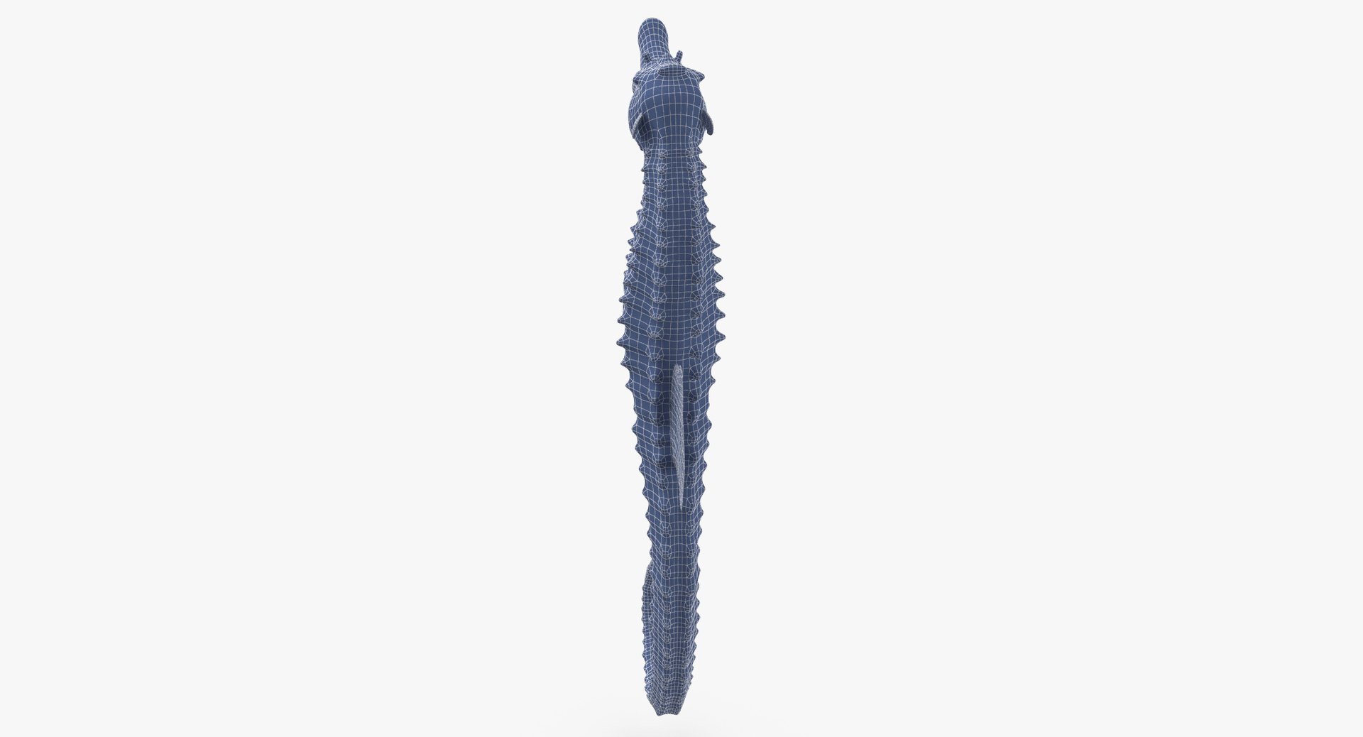 3D sea animals 01 https://p.turbosquid.com/ts-thumb/wR/uj5lMF/0iO15EPR/seahorse_001_rig_wireframe_0003/jpg/1499168258/1920x1080/fit_q87/db4e3cf0bd2d1a9923b8b9d75282b0cbe72cca5b/seahorse_001_rig_wireframe_0003.jpg