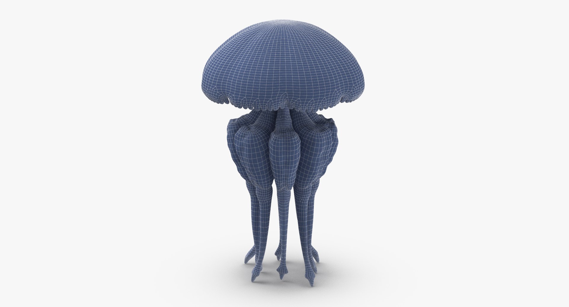 3D sea animals 01 https://p.turbosquid.com/ts-thumb/wR/uj5lMF/5ScDZJvI/jellyfish_03_001_wireframe_0003/jpg/1499167310/1920x1080/fit_q87/4fb85d785f295e736a81d155fe4e491b8a608e84/jellyfish_03_001_wireframe_0003.jpg